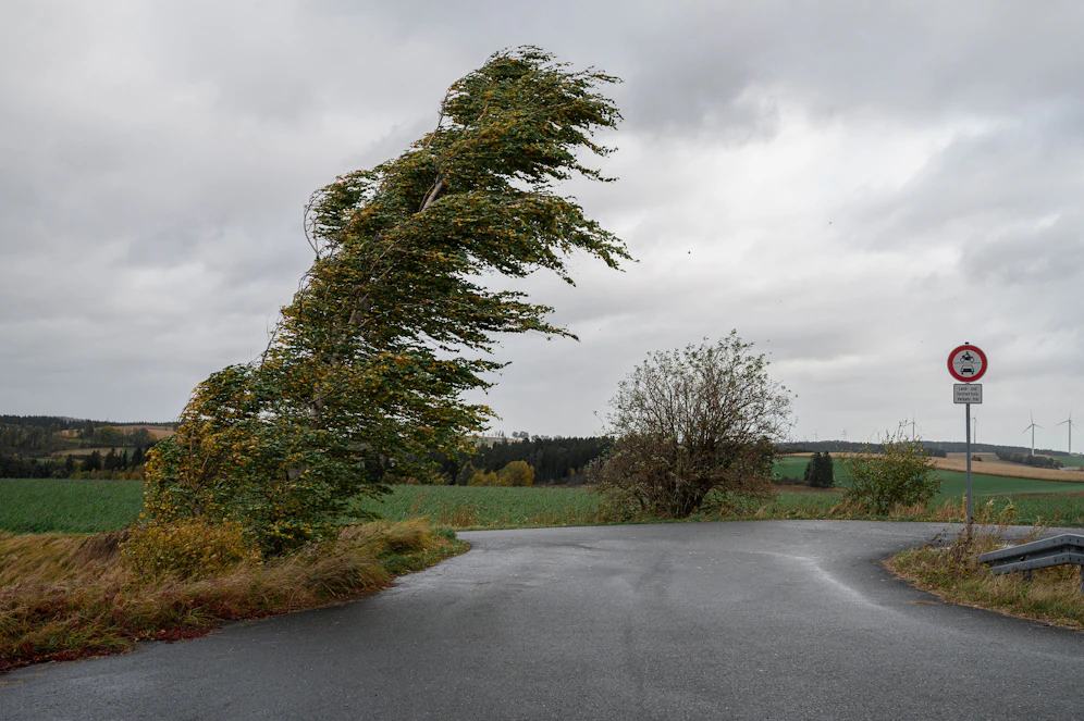 Österreich hatte am Donnerstag mit Sturmböen weit jenseits der 150 km/h zu kämpfen. Symbolbild.&nbsp;