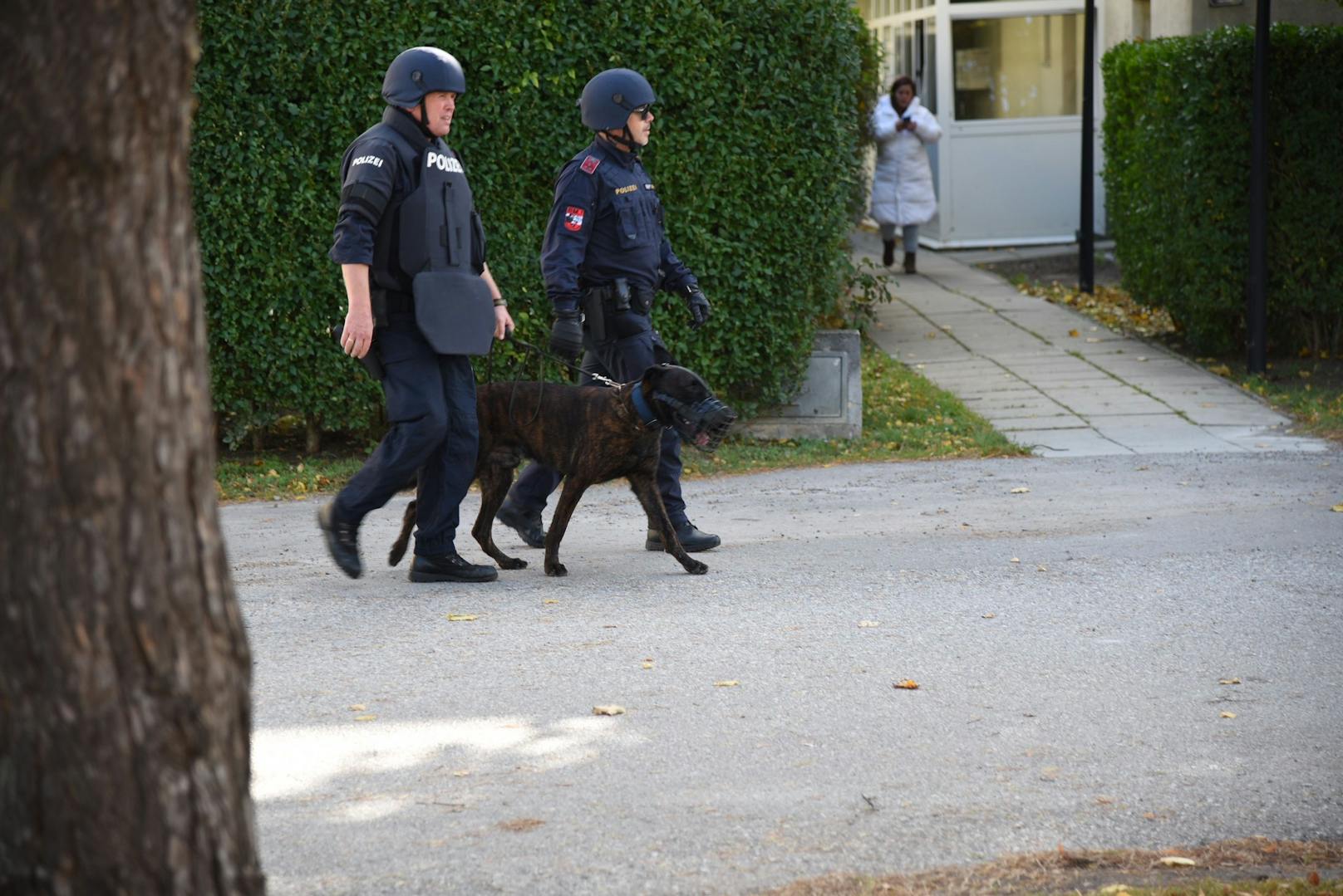 Die Suche nach einem Wiener Polizisten, der seine Freundin getötet haben soll, geht weiter.