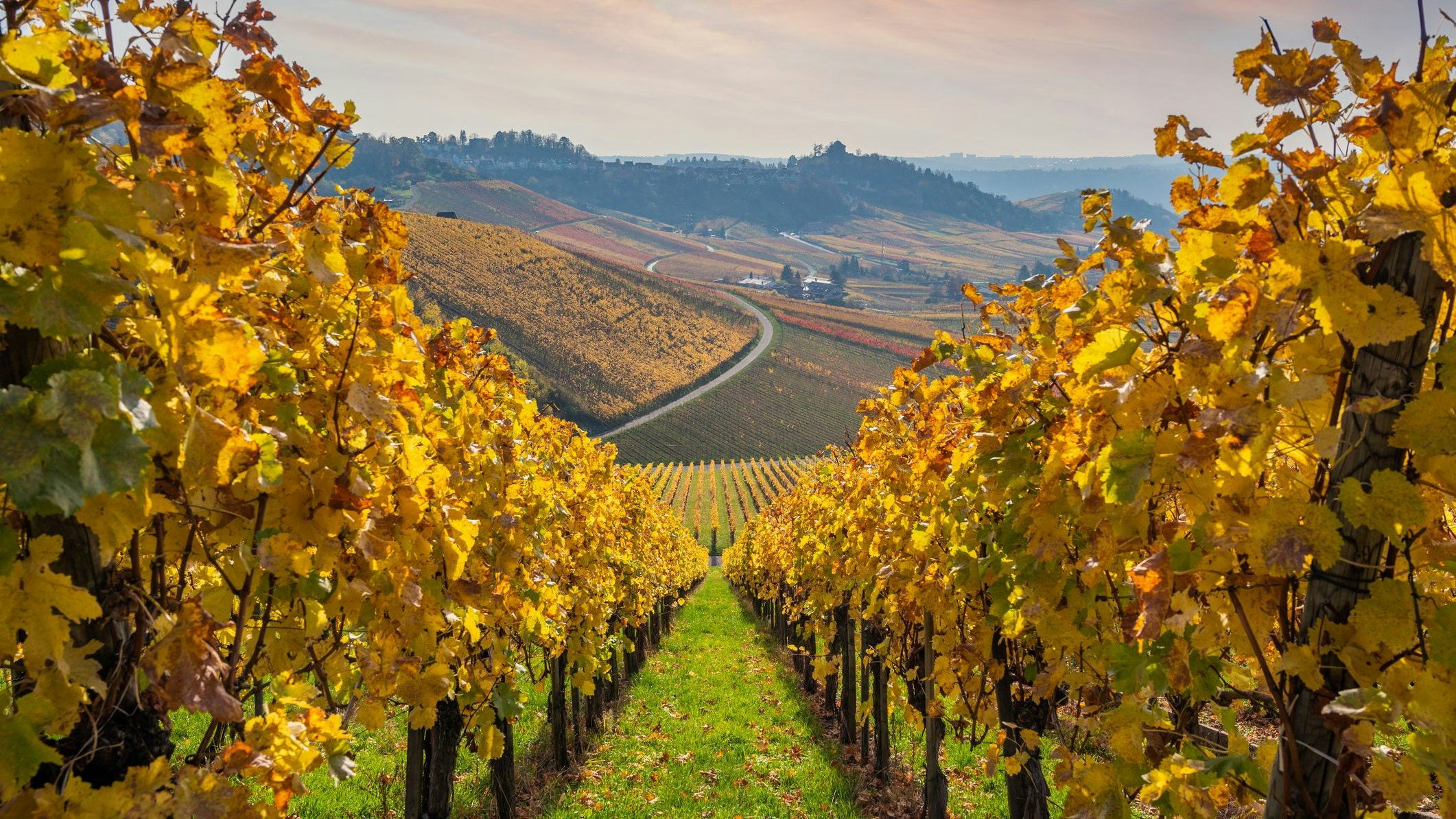 Der Herbst hat Österreich bereits fest im Griff. Symbolbild