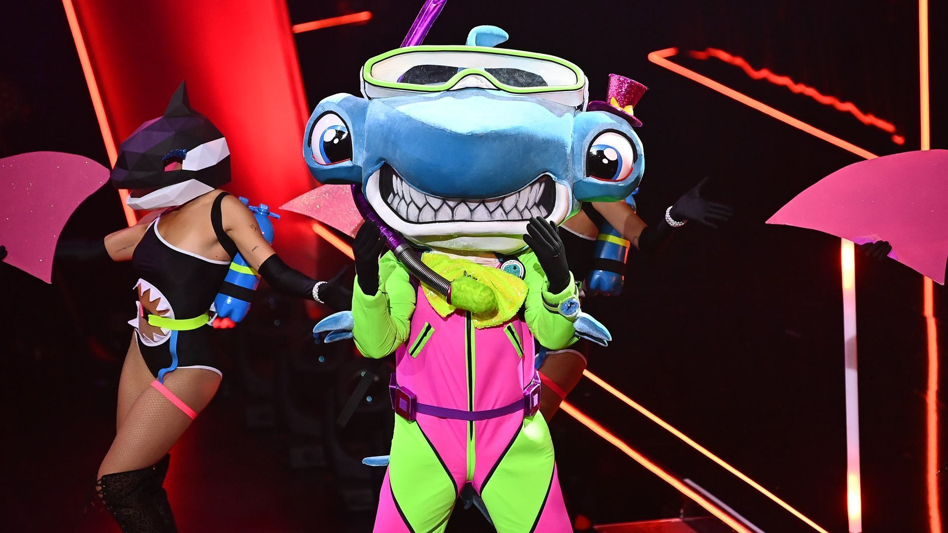 Der Hammerhai ist ein Weltmeister! 