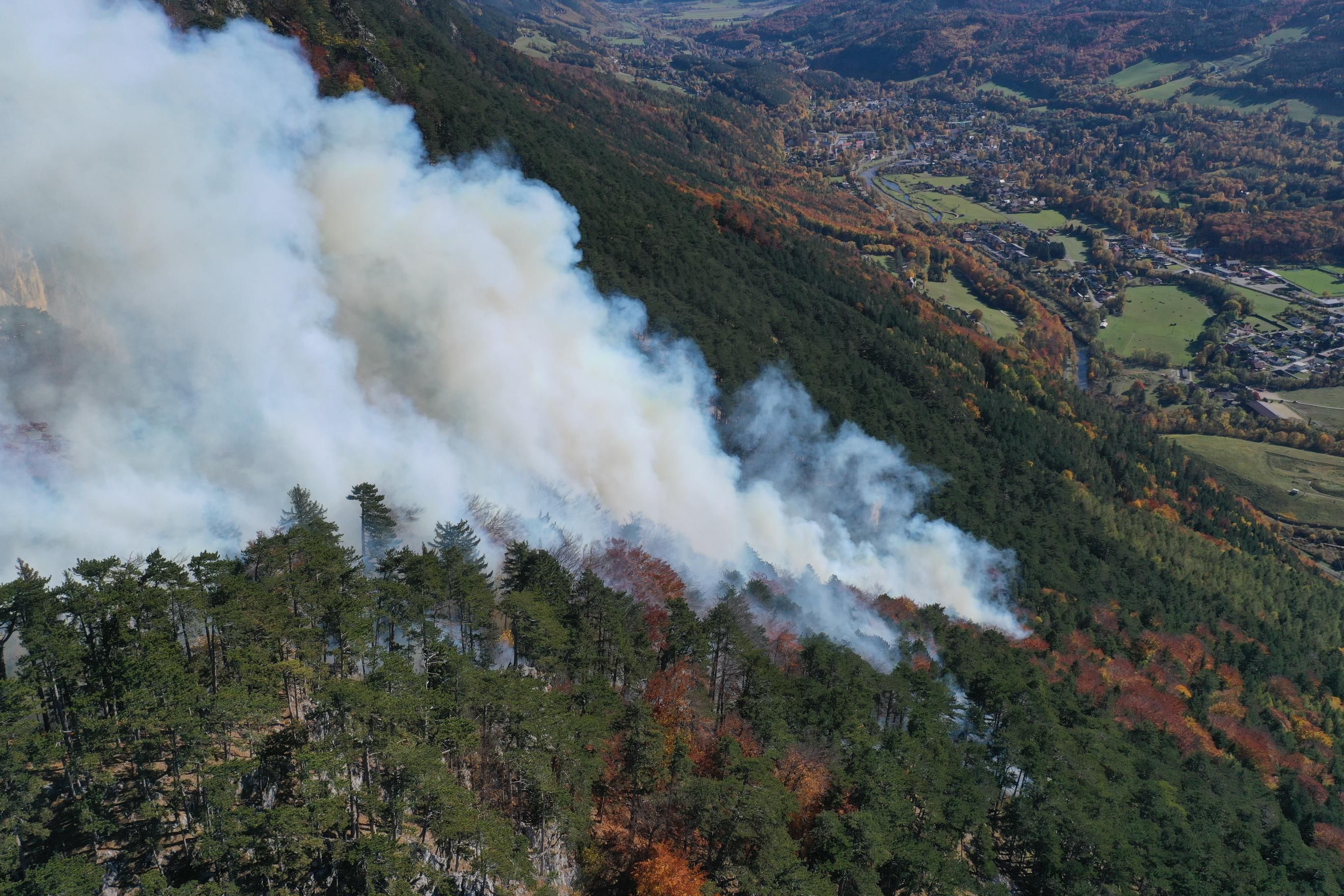 Heute.at - Waldbrand in Hirschwang: Jahrzehnte bis zur Erholung