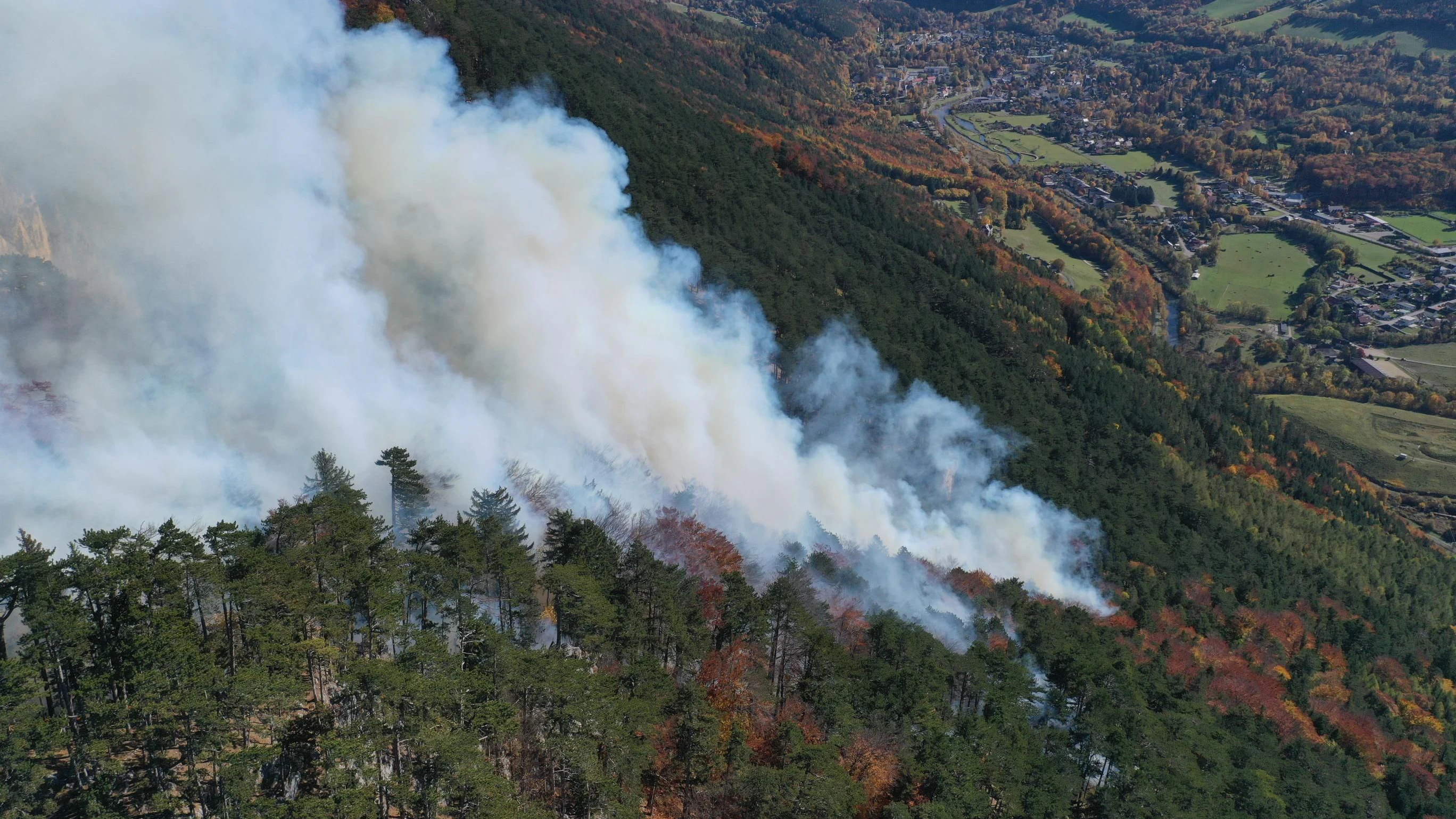 Heute.at - Waldbrand in Hirschwang: Jahrzehnte bis zur Erholung