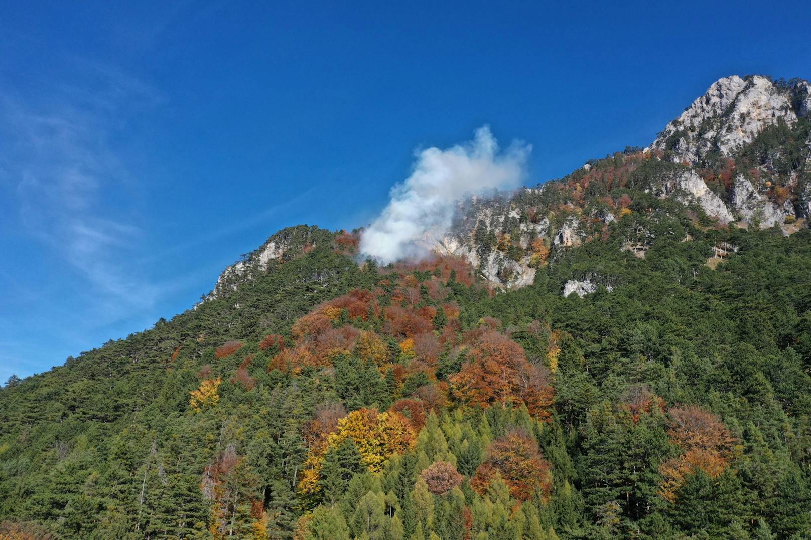 Ein Wald steht bei Hirschwang in Brand.