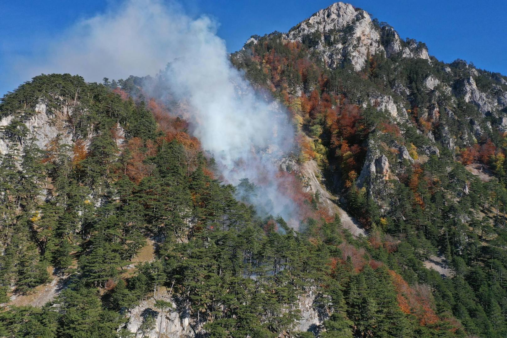 Ein Wald steht bei Hirschwang in Brand.