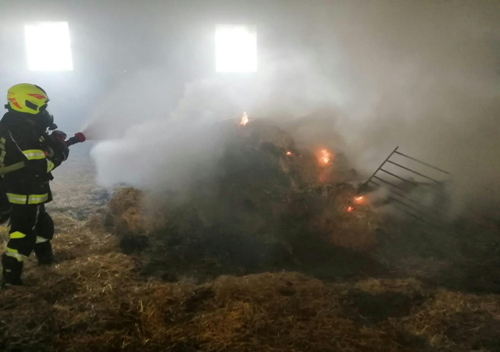 Sieben Wehren rückten zu einem Brand mit Tierrettung aus.