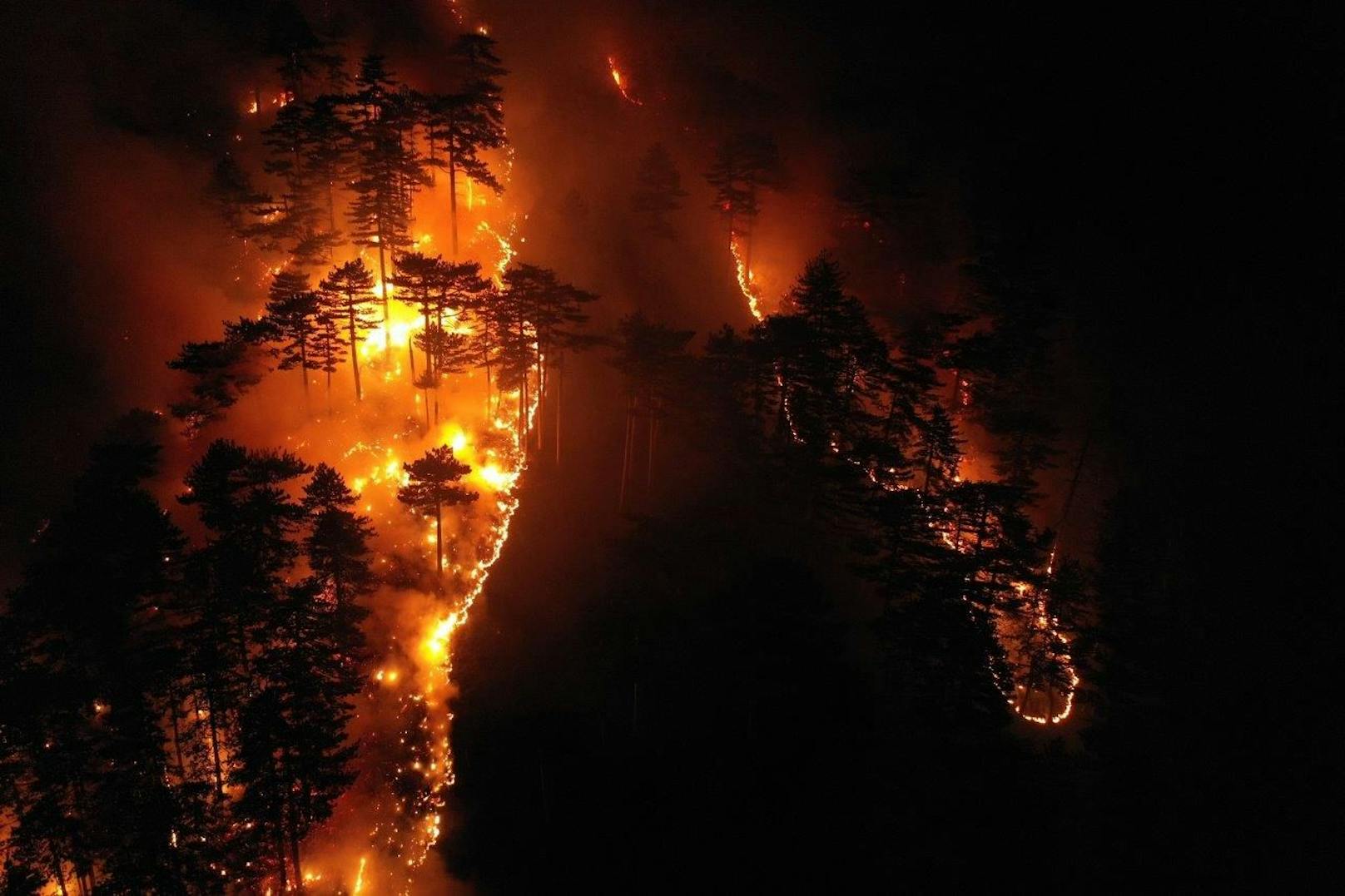 Der Waldbrand breitete sich weiter aus. 