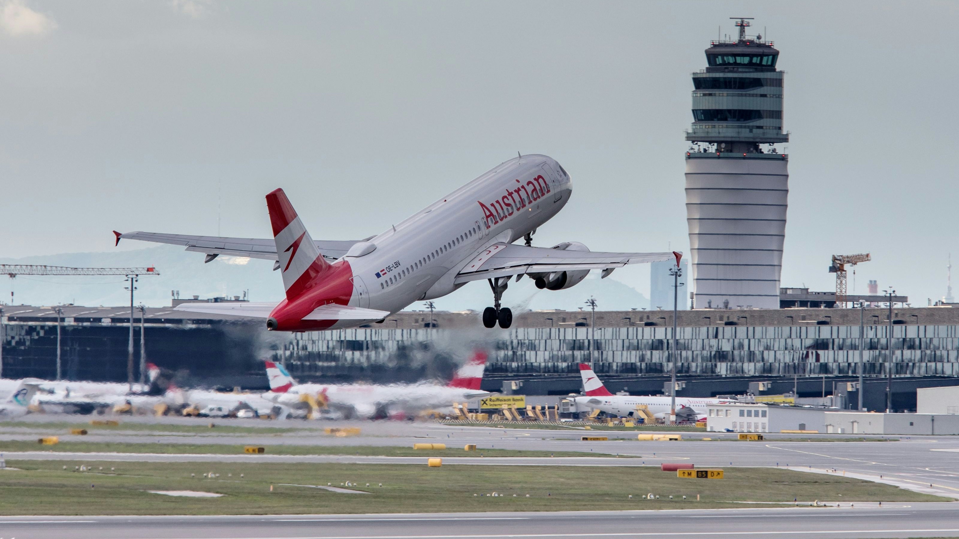 Greenpeace fordert ein Verbot von Inlandsflügen innerhalb Österreichs.