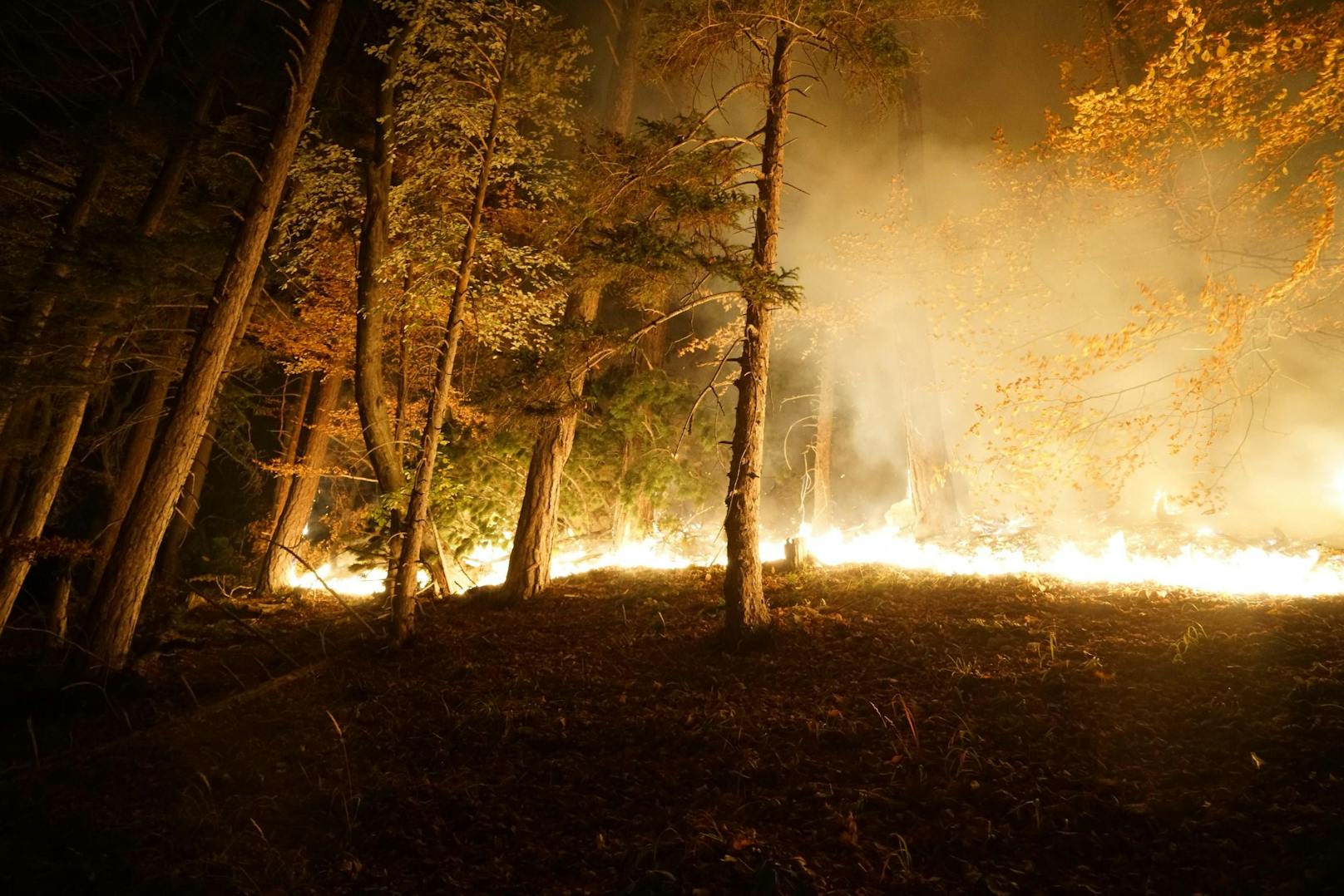 Über Nacht loderten die Flammen auf.