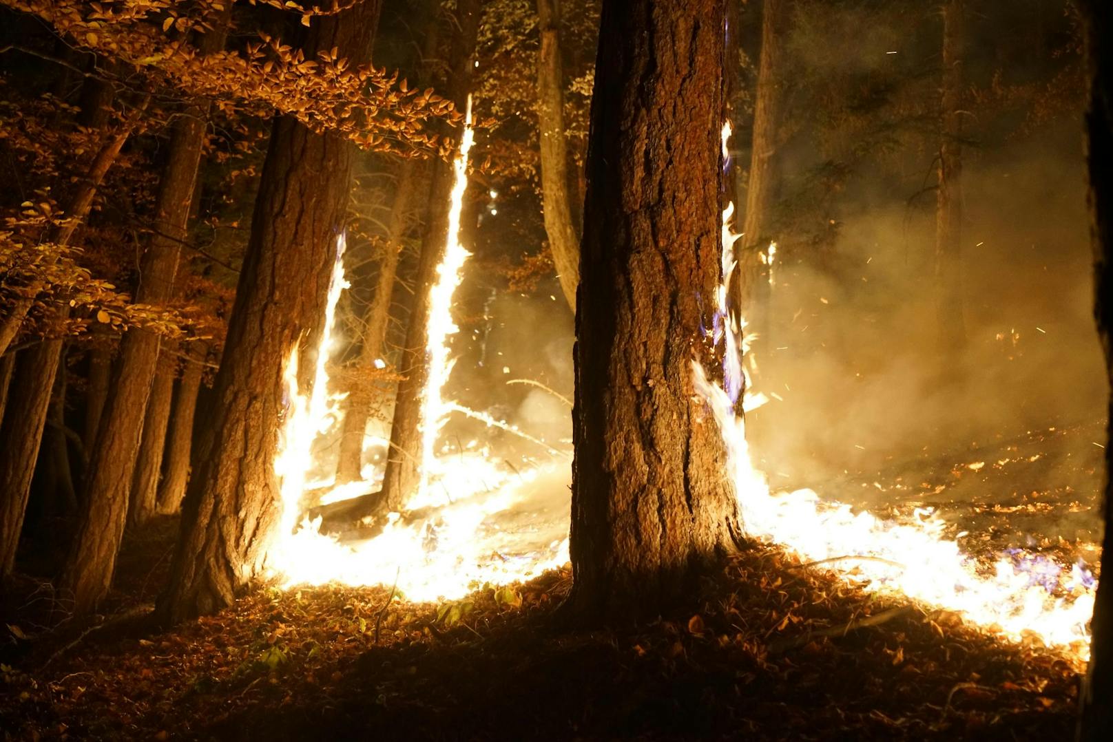 Über Nacht loderten die Flammen auf.