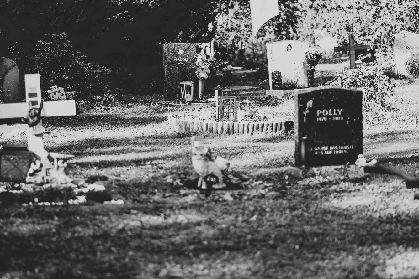 Der Tierfriedhof Waldesruh bietet eine idyllische, letzte Ruhestätte für das geliebte Haustier.&nbsp;