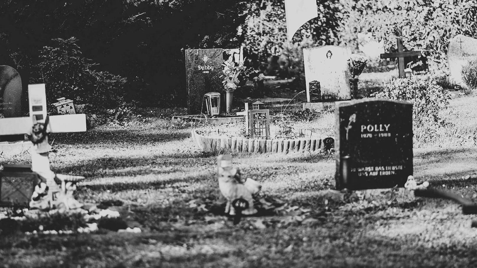 Der Tierfriedhof Waldesruh bietet eine idyllische, letzte Ruhestätte für das geliebte Haustier.&nbsp;