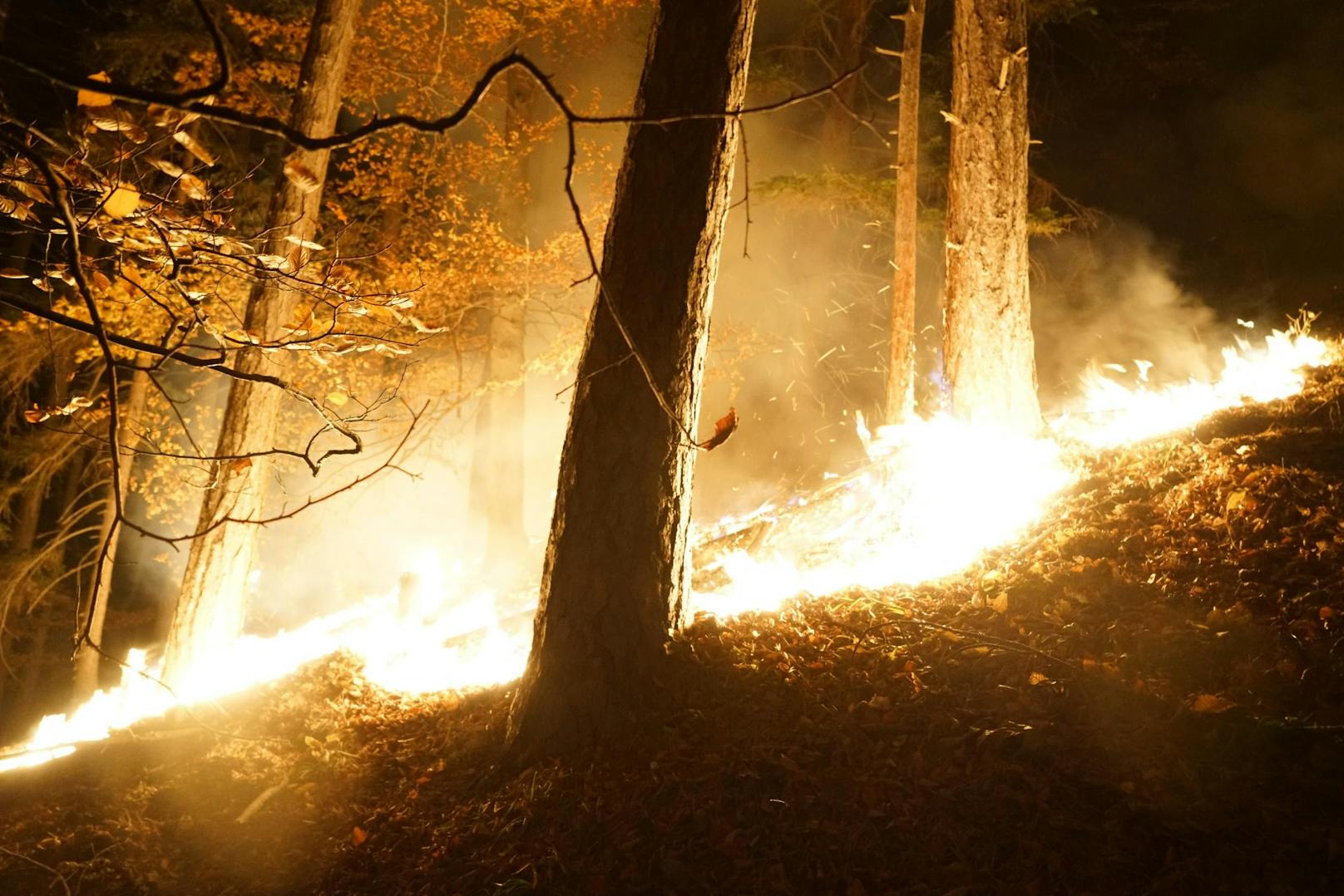 Über Nacht loderten die Flammen auf.