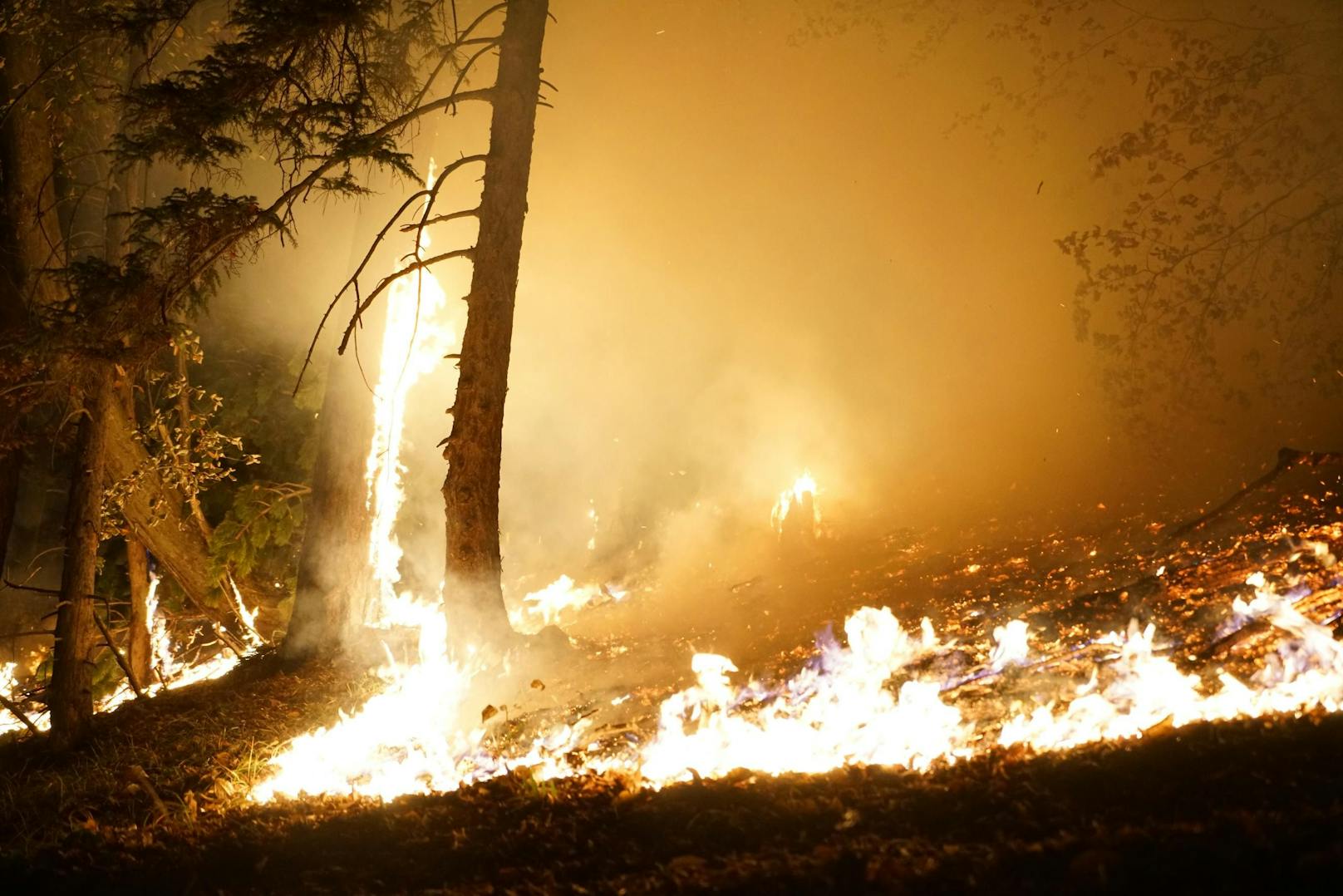 Über Nacht loderten die Flammen auf.