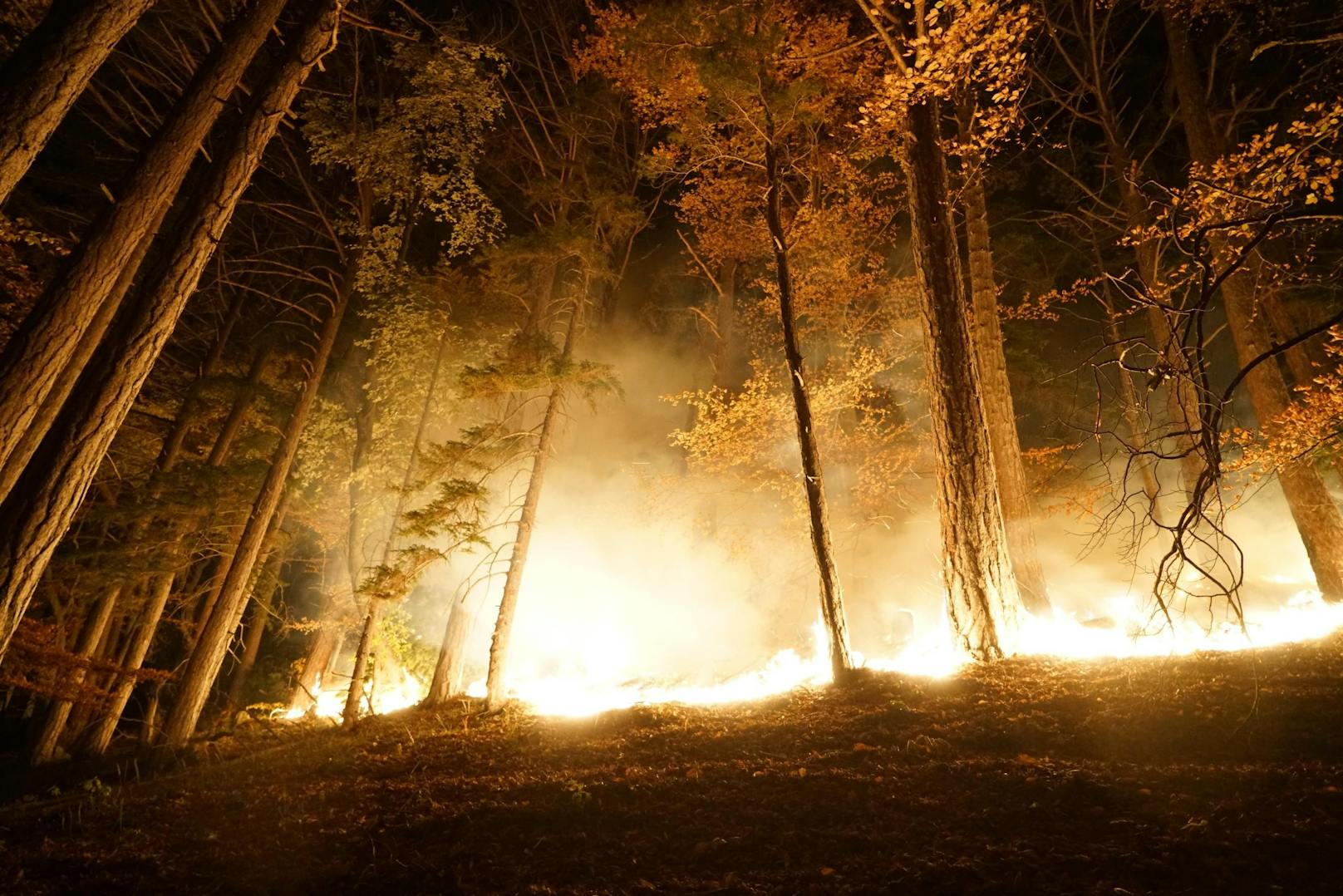 Über Nacht loderten die Flammen auf.