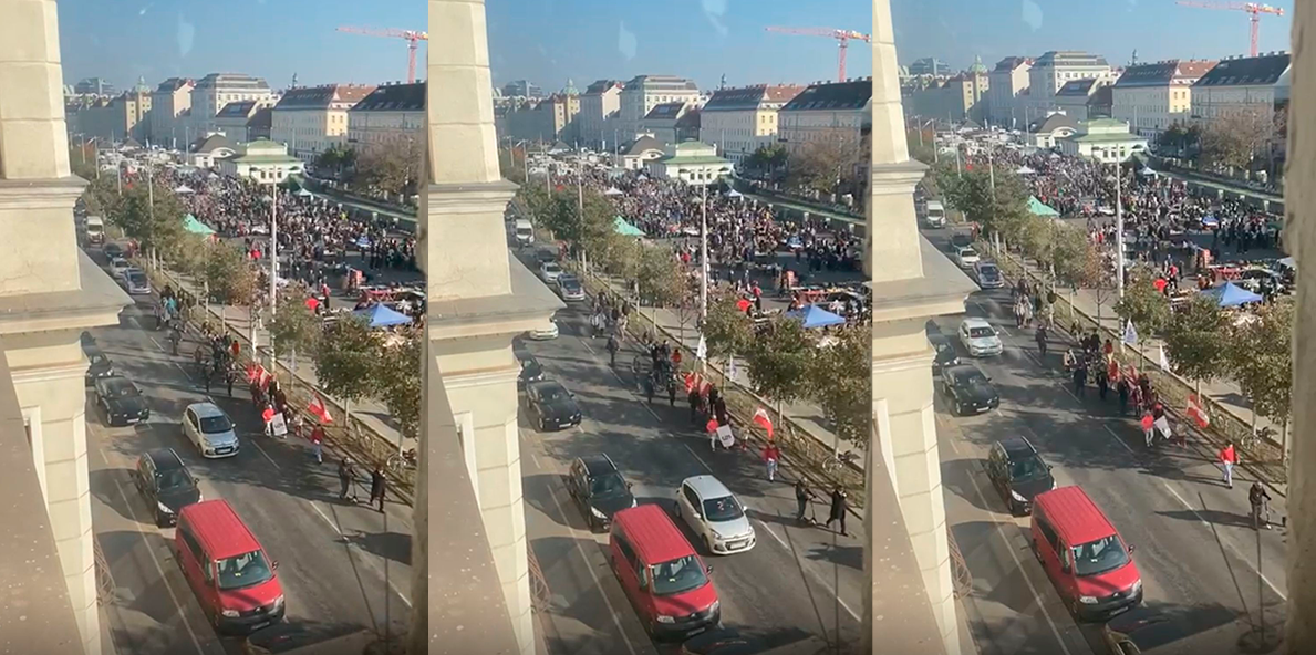 Rund 30 Leute marschierten über die Linke Wienzeile. Nicht zu verwechseln mit dem Flohmarkt am Naschmarkt-Parkplatz.