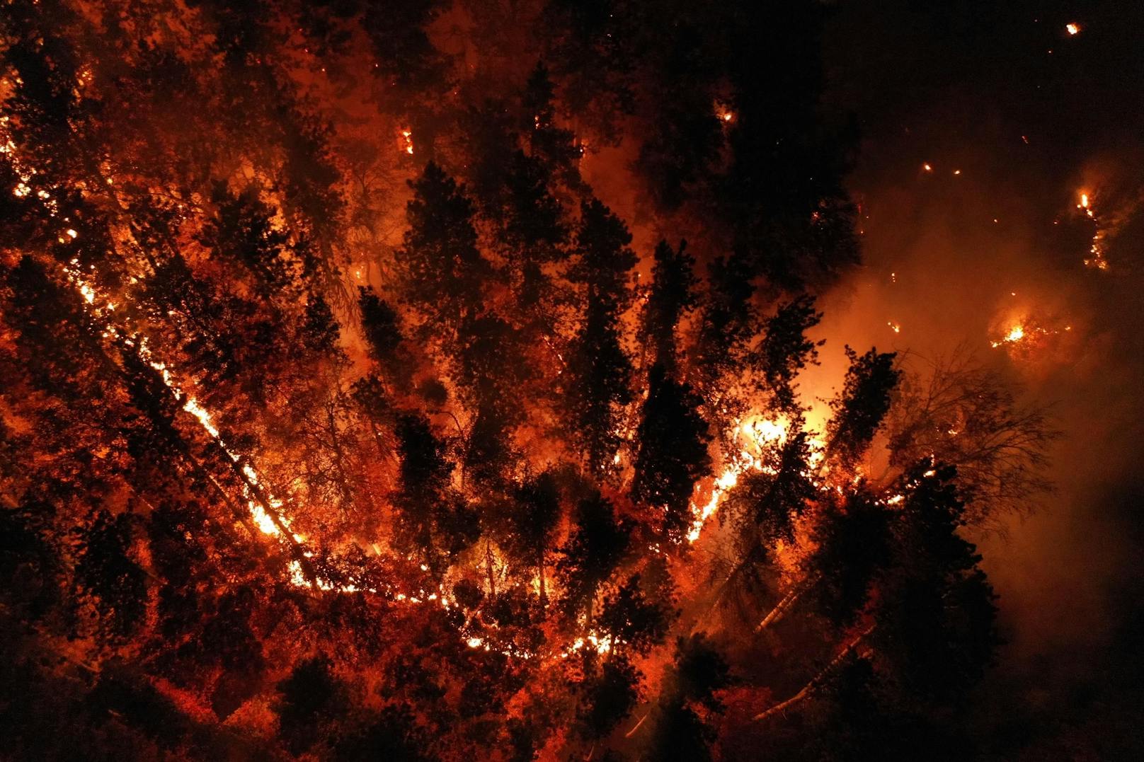 Riesiger Waldbrand fordert die Einsatzkräfte
