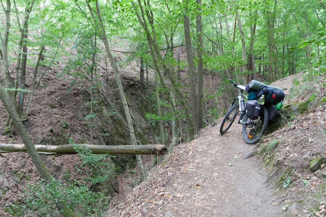 Der Mountainbiker verstarb noch an der Unfallstelle