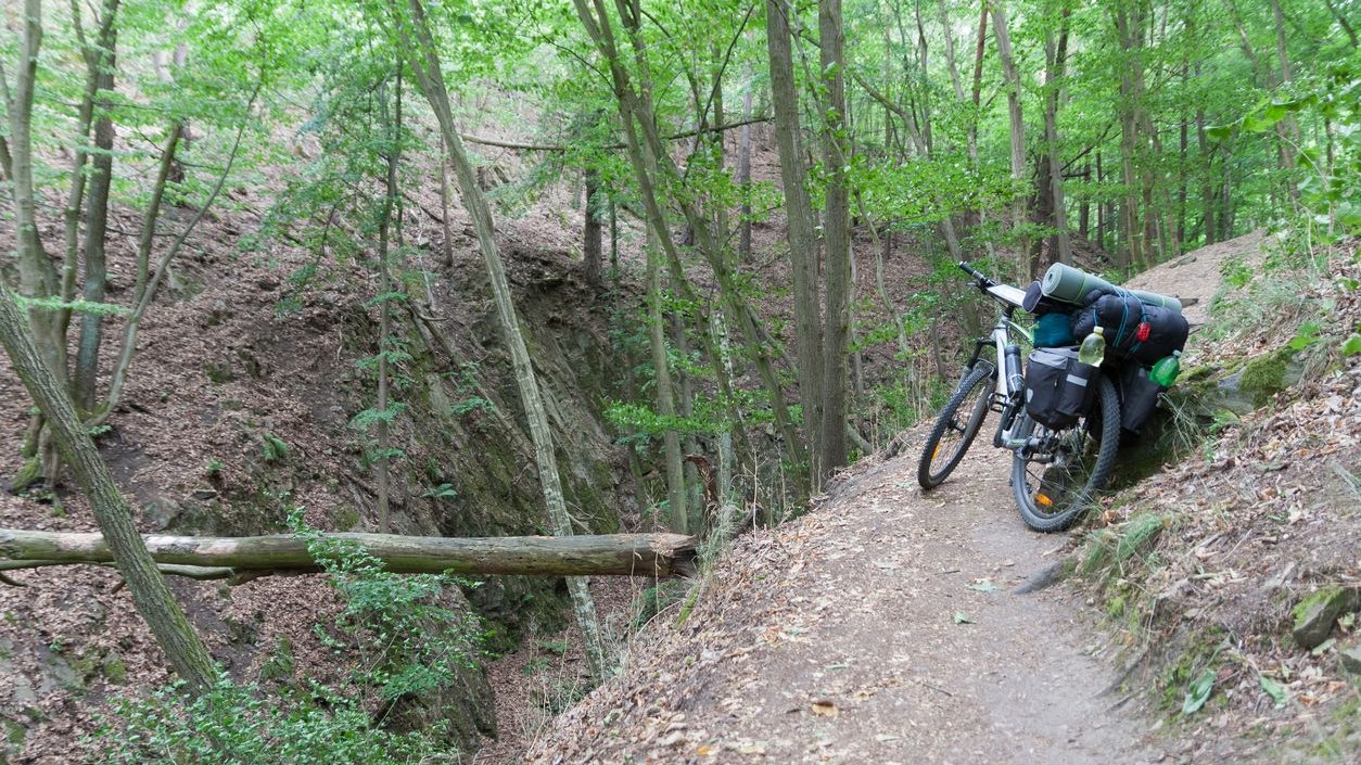 Der Mountainbiker verstarb noch an der Unfallstelle