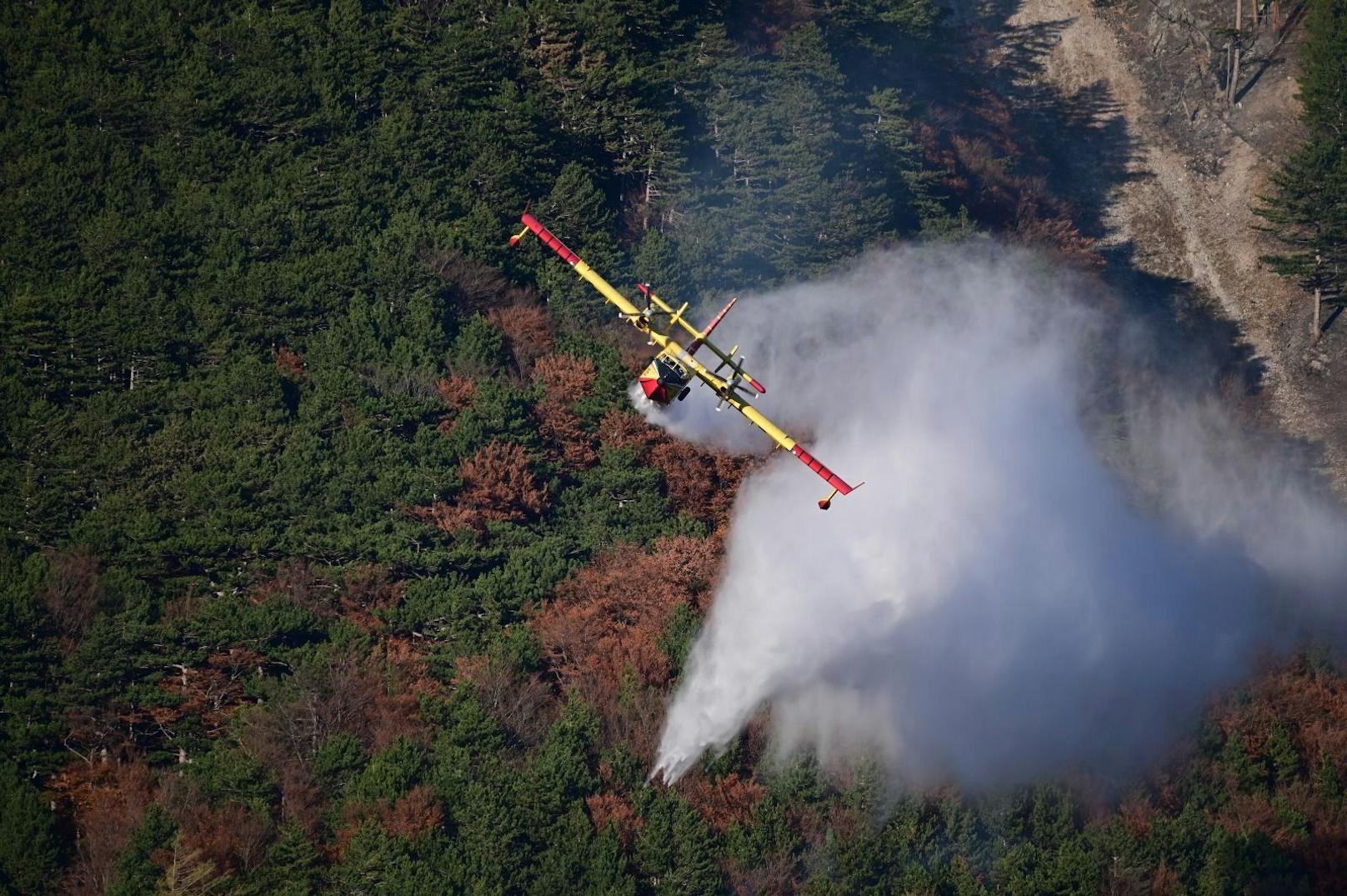 Riesiger Waldbrand fordert die Einsatzkräfte