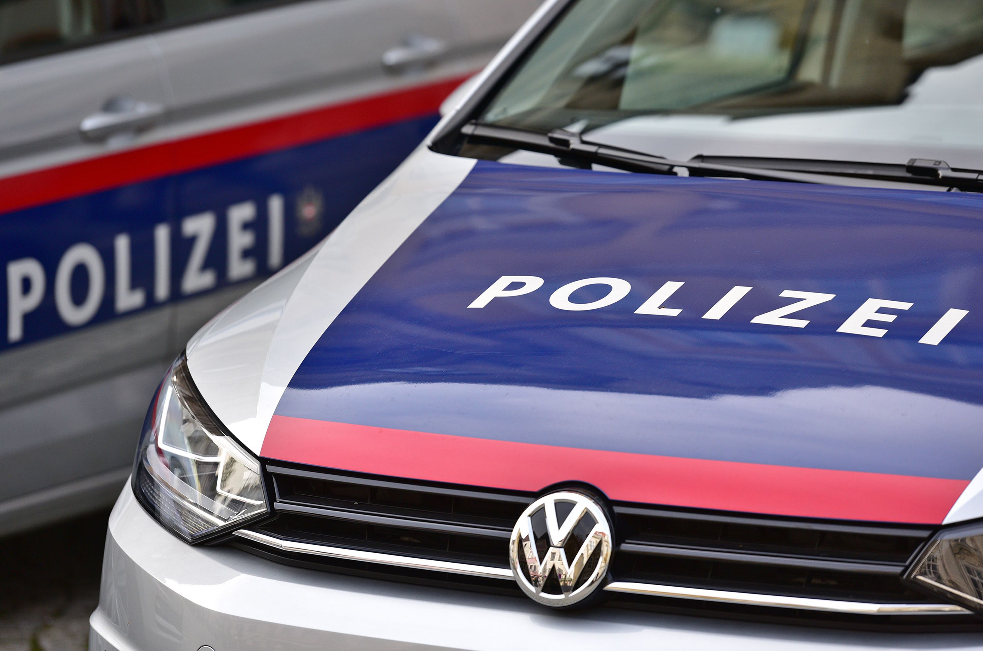 Halleine Polizisten konnten die Frau festnehmen.