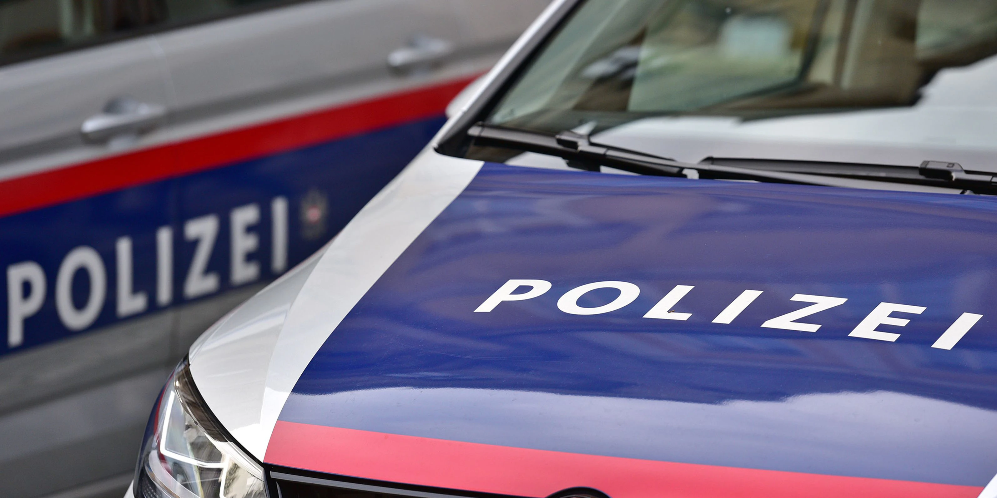 Halleine Polizisten konnten die Frau festnehmen.