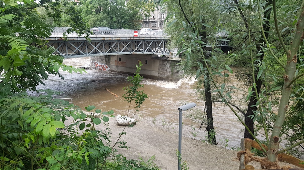 Zwei Passanten retteten Mutter und Tochter aus der Mur. Symbolbild.&nbsp;