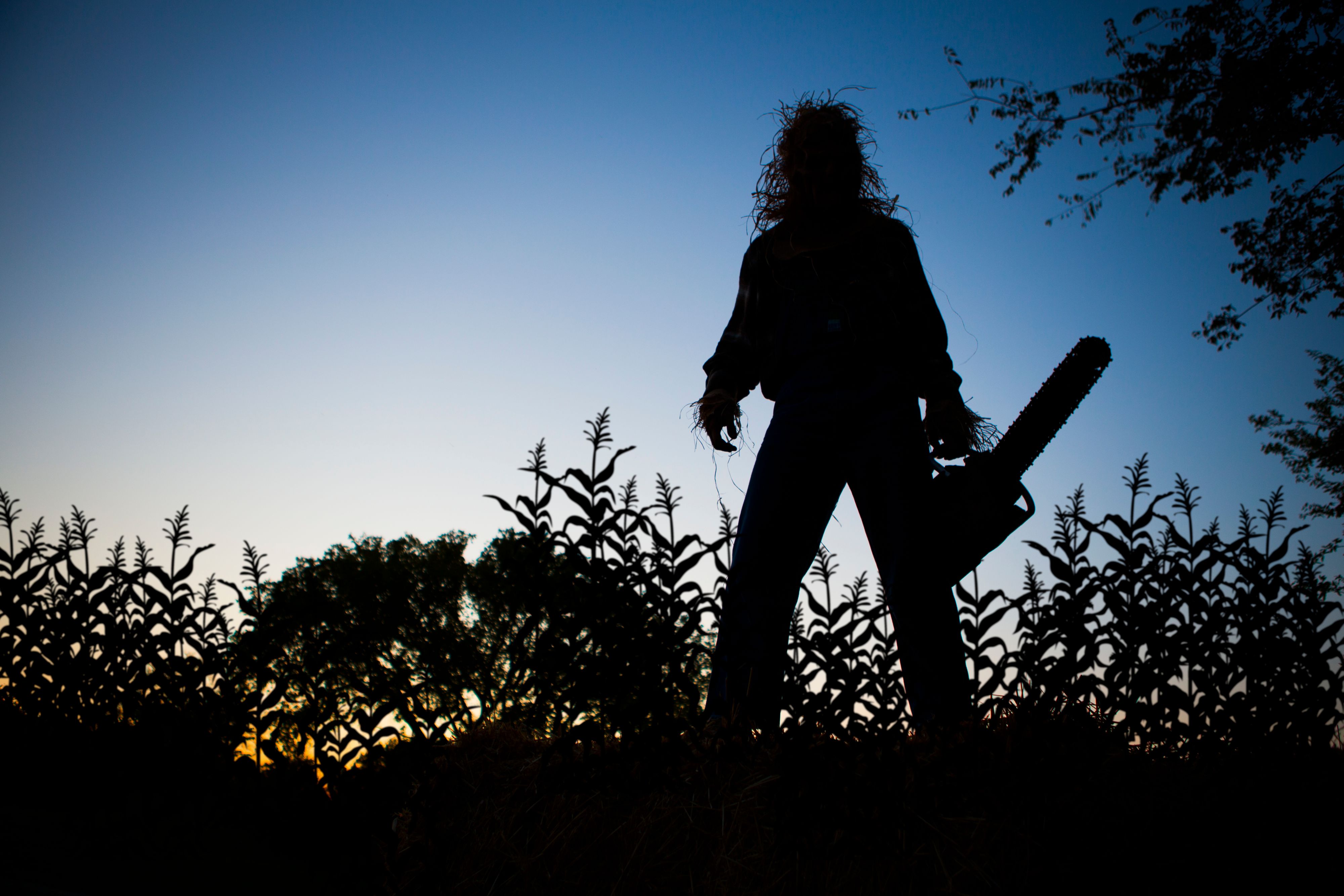 Eine&nbsp;Gruppe Jugendlicher erschreckte an Halloween Leute in Feldkirch (V) mit einer Motorsäge, bis die&nbsp;Polizei anrückte. (Symbolfoto)