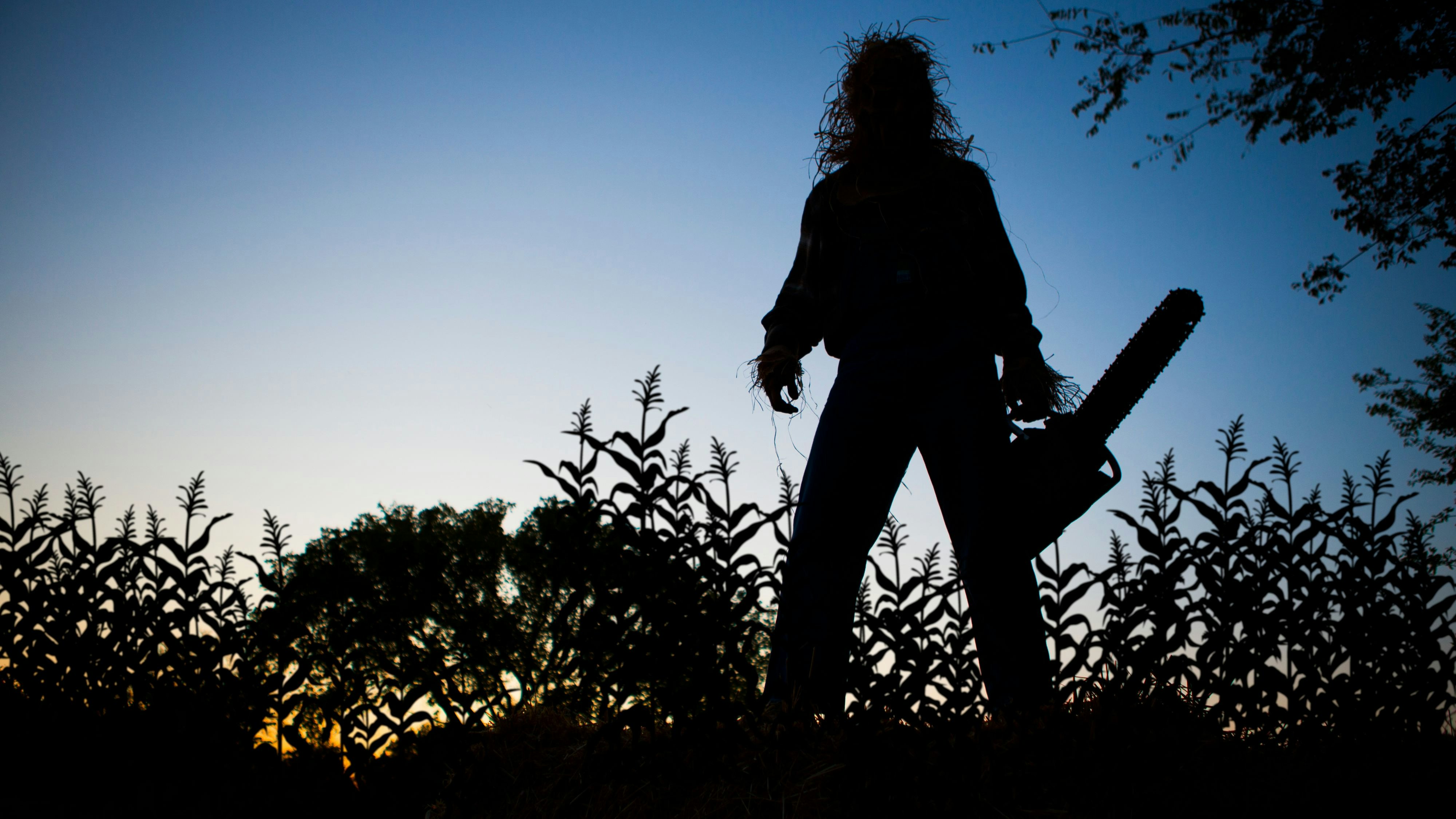 Silhouette of a Scarecrow in cornfield