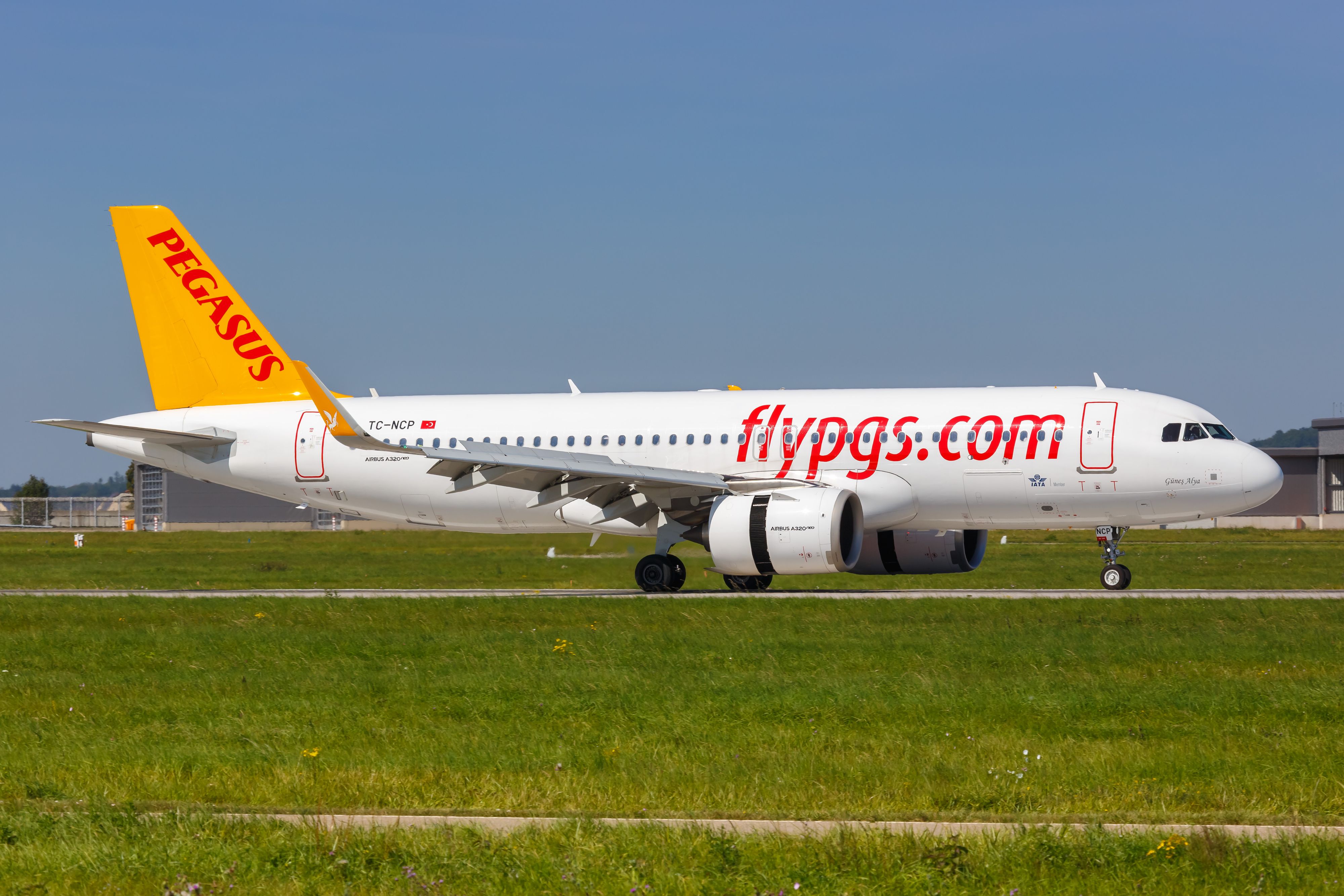 Alle Passagiere des Pegasus-Airlines-Flugs müssen sich beim Gesundheitsamt melden. Der Grund: Im Flieger ist ein lebloser Mann gefunden worden.