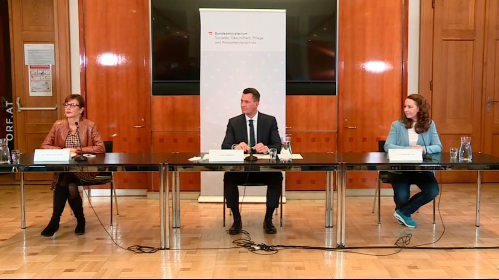 Mückstein mit den beiden Expertinnen Ursula Wiedermann-Schmidt und Monika Redlberger-Fritz bei der Pressekonferenz.