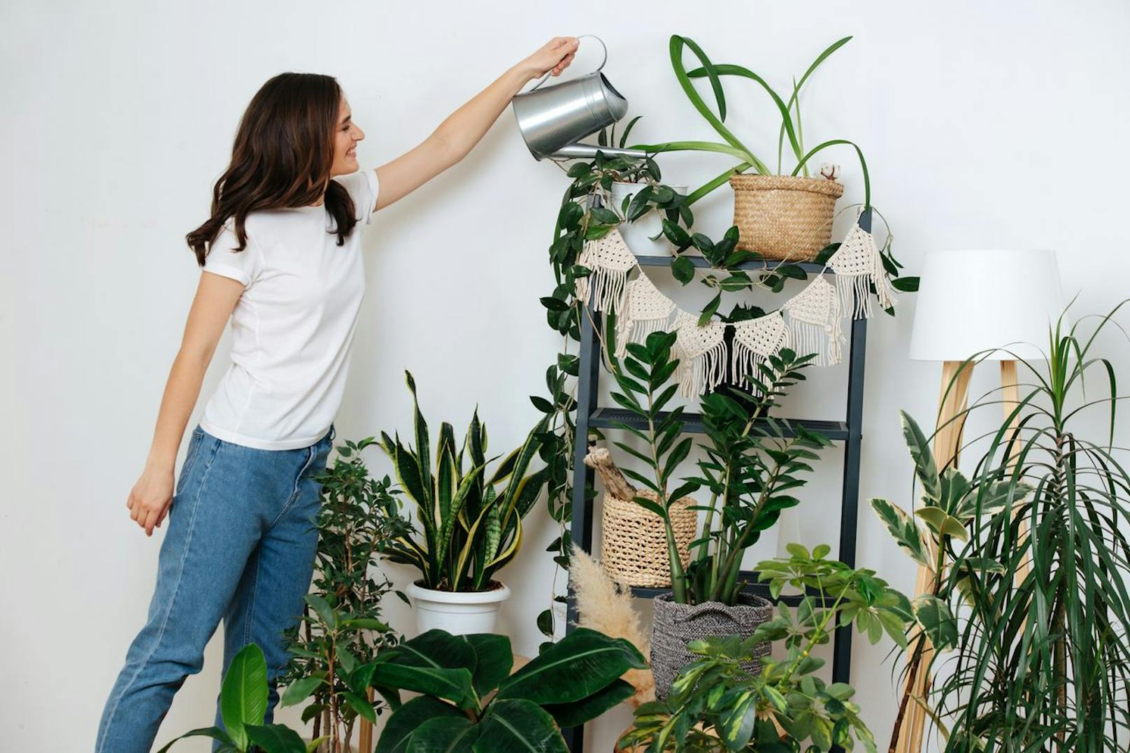 Die meisten Zimmerpflanzen sind eine ganz feine Sache und sie können auf unterschiedliche Weise deinen Wohnraum bereichern.
