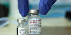 Moskito in Corona-Impfstoff: 800.000 Dosen zurückgerufen