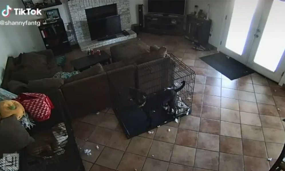 Bei den Aufnahmen der Überwachungskamera bekommt man plötzlich Gänsehaut. 