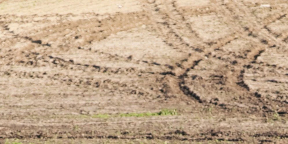 Symbolfoto von Spuren in einem Acker.