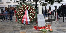 21-Jähriger plante Terror-Anschlag in Wien