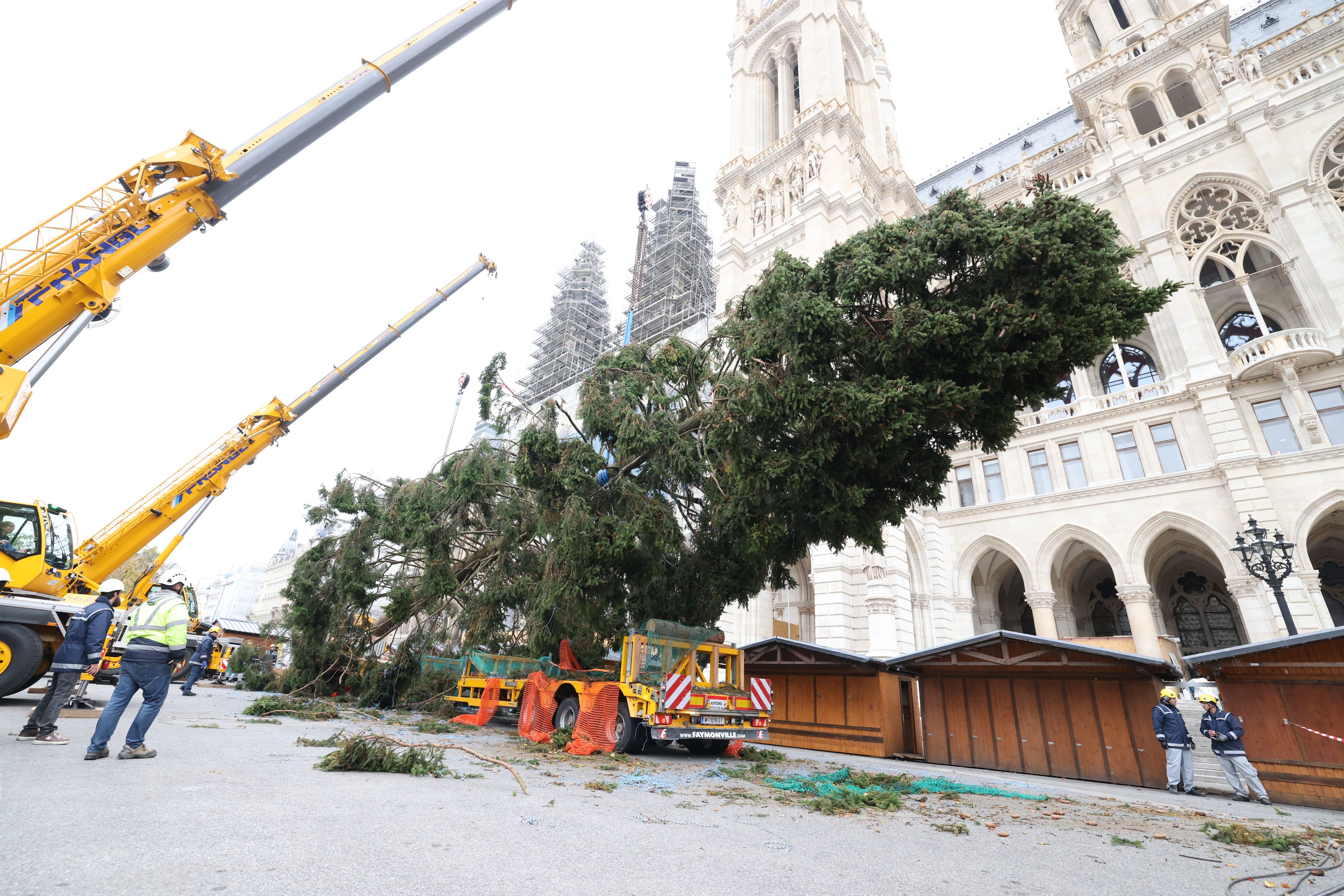 Der Christbaum schmückte den Wiener Rathausplatz