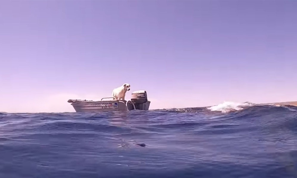 Hier kommt es gleich zu einer unglaublichen Begegnung. 