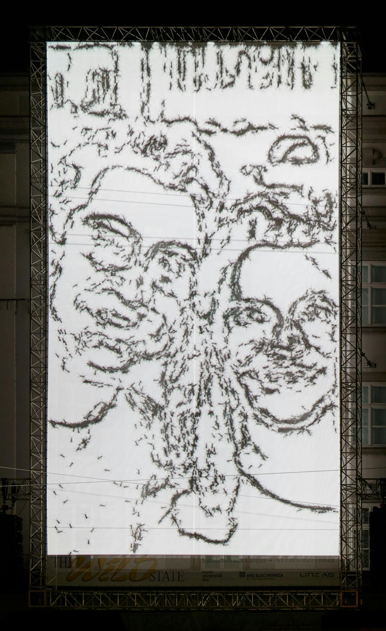 "Selbstportrait mit ANTopolis“ verwandelt Porträts von Passanten in Bilder aus Millionen digitaler Ameisen und projiziert diese täglich auf die Fassade des Leopold Museums. Symbolisiert wird durch die Ameisen die Hektik des Staates.