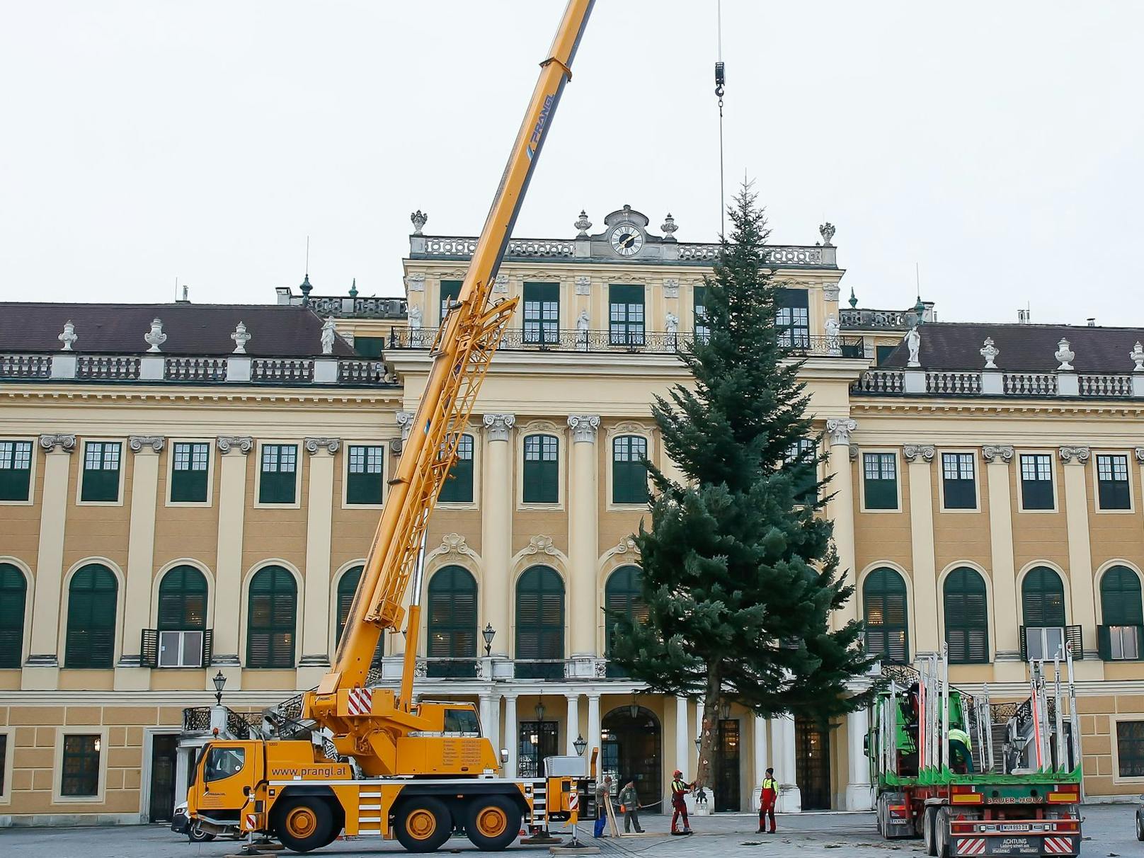 Für den Christkindlmarkt in Schönbrunn wurde eine 18 Meter hohe Tanne aufgestellt. Ihren vorweihnachtlichen Lichterzauber verströmt sie ab 20. November bis zum 26. Dezember im Ehrenhof.