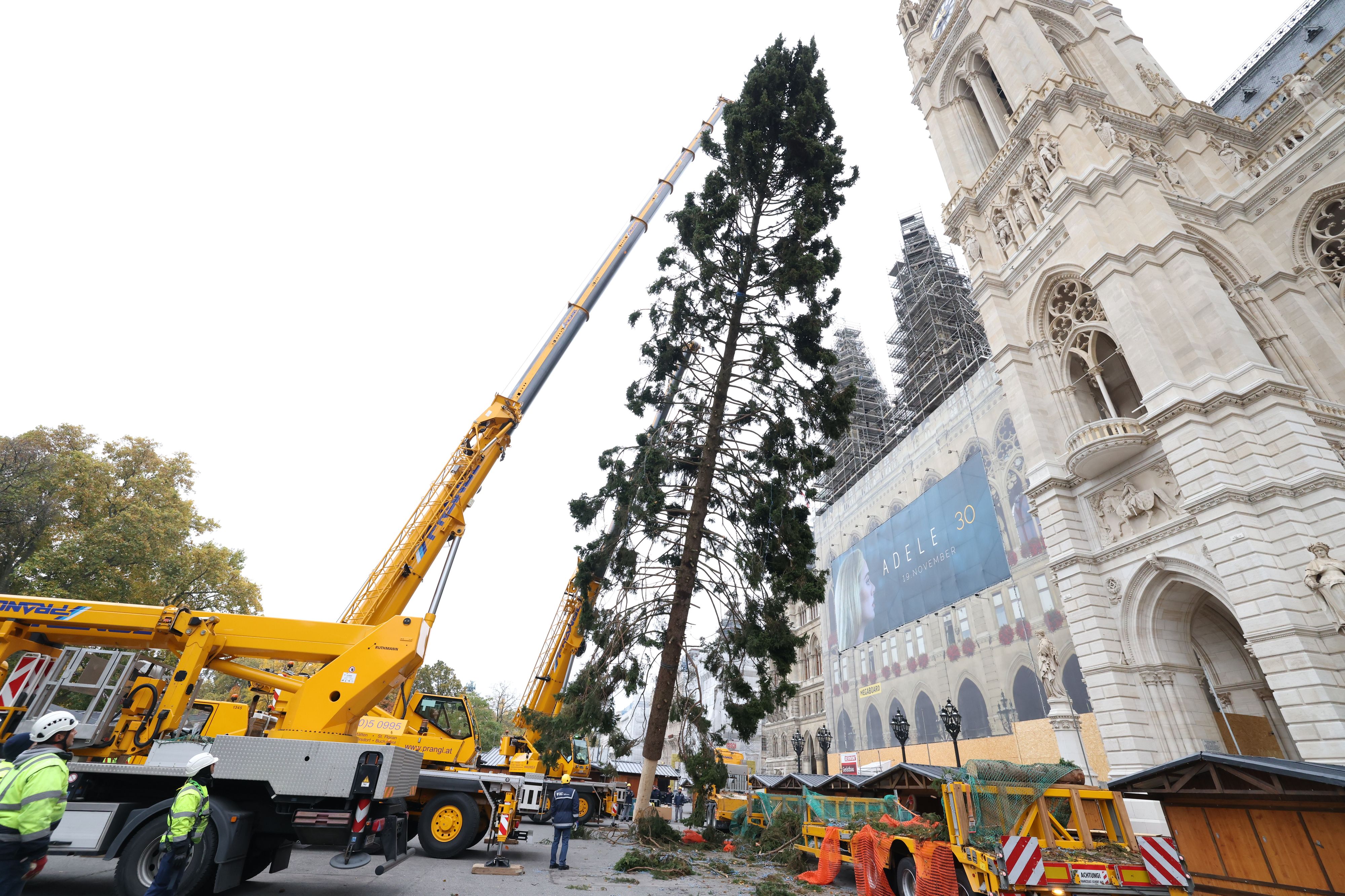 Ganz dicht ist er nicht: Der am Mittwoch am Wiener Rathausplatz aufgestellte Christbaum sorgt für Diskussionen.