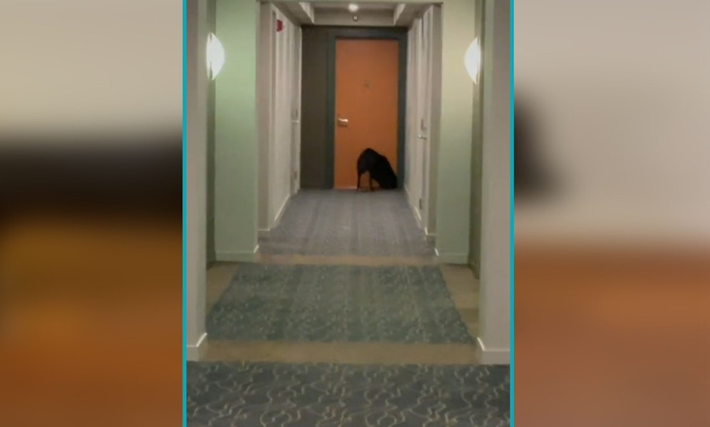 Was mag hier wohl dahinter sein? 