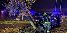 16-Jähriger fährt bei Spritztour Papas Auto gegen Baum