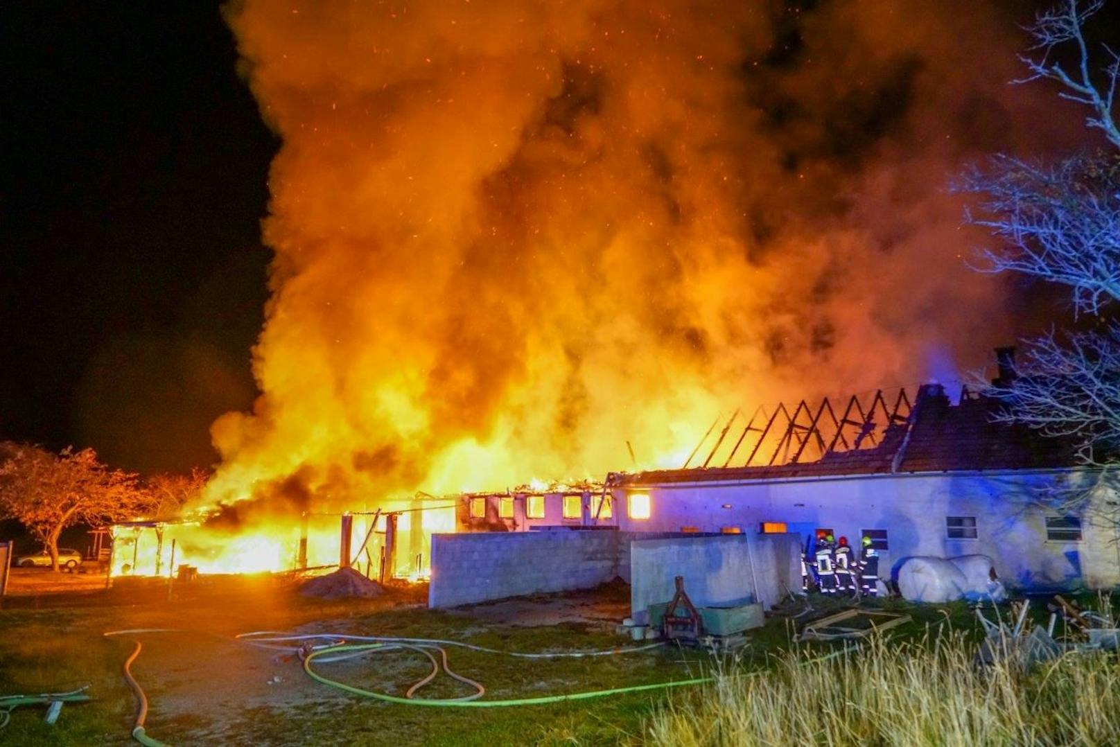 Auf einem Bauernhof im Raum Gloggnitz ist ein Vollbrand ausgebrochen.