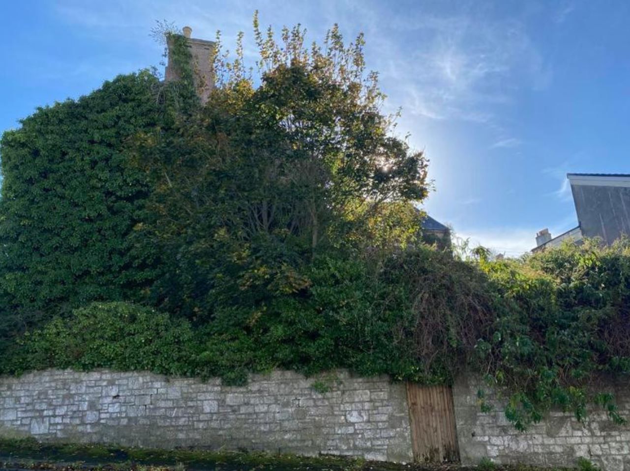 Im Südwesten Englands wird ein Einfamilienhaus mit drei Schlafzimmern für unter 140’000 Franken zum Kauf angeboten. Von außen grün bewachsen wie in einem Märchen, zeigen sich im Innern Bilder des Grauens.