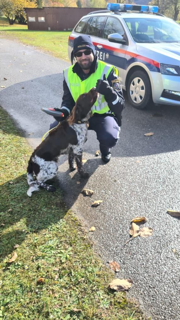 Der Jagdhund wurde einer Ausreisekontrolle unterzogen.