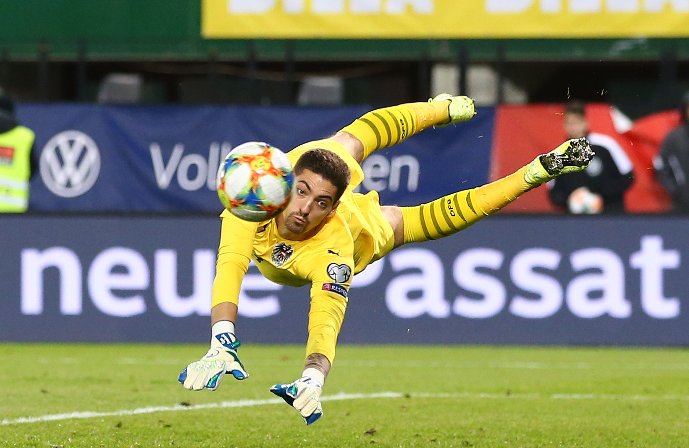 Cican Stankovic im ÖFB-Einsatz