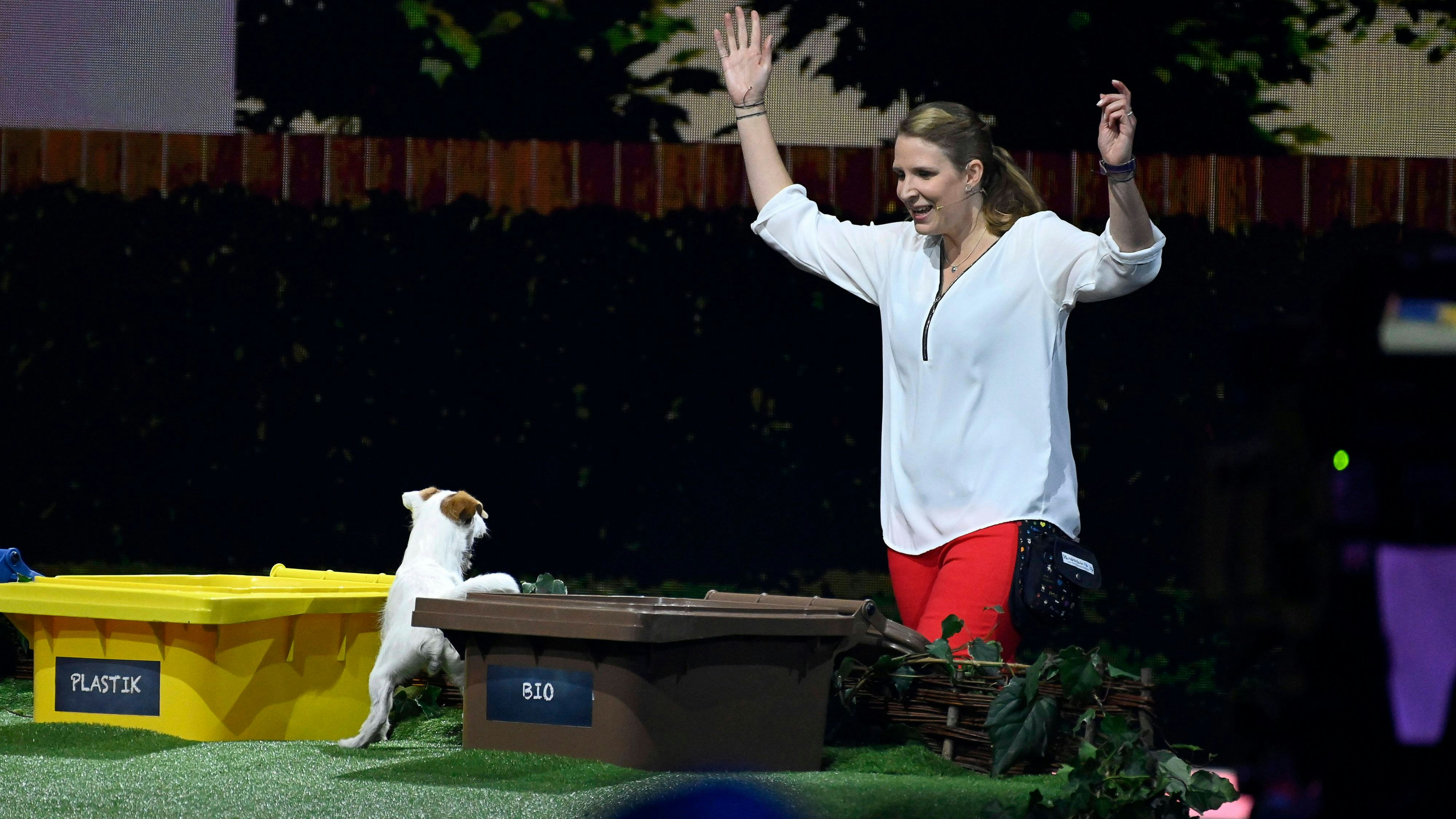  Hund Uno mit Tiertrainerin Vivian Hinz