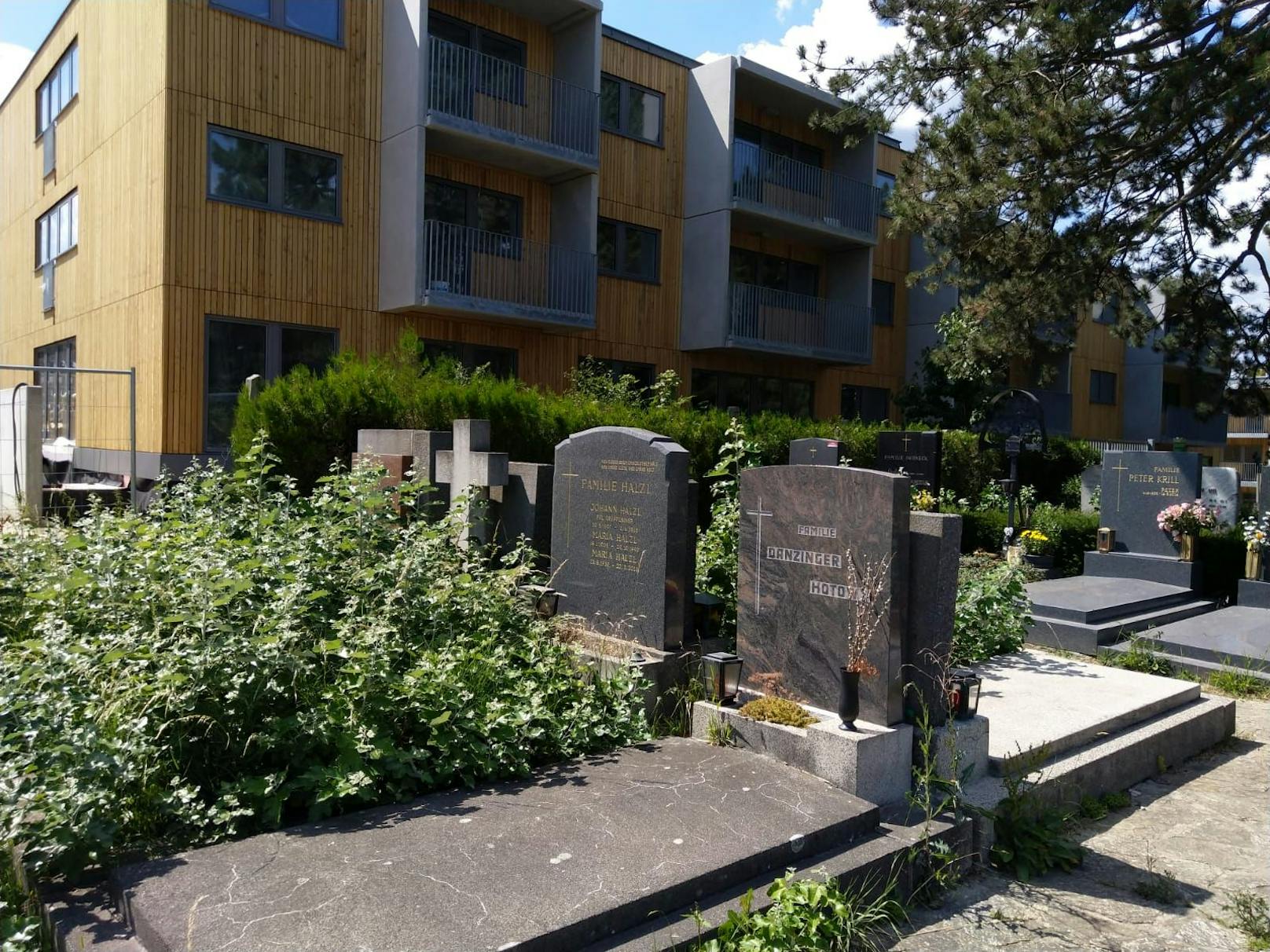 2010 wurde der Neustifter Friedhof zu Wiens 1. Umweltfriedhof, nur vier Jahre später entdeckte die Stadt das Potential für den Wohnbau. Der Bau der 70 geförderten Wohnungen, die nun kurz vor der Übergabe stehen, sorgen für Ärger bei den Anrainern.