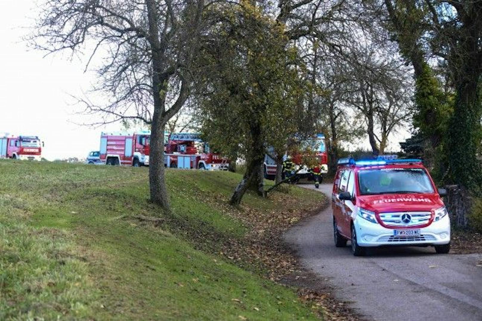 Die Kameraden der Feuerwehr Marchtrenk suchten währenddessen den Buben.