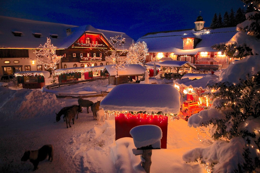 Auf Gut Aiderbichl kann man Punsch und Krapfen zwischen den geretteten Tieren genießen. 
